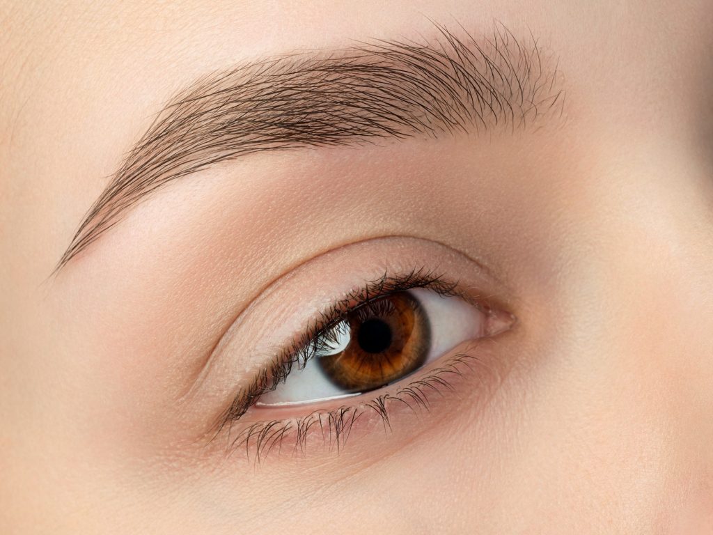 Close up view of beautiful brown female eye